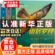 【官方正版】山居歲月三部曲 山居歲月系列全3冊正版 山居歲月系列全3冊 山居歲月兒童版 驚風(fēng)的山正版 【正版3冊】山居歲月三部曲