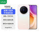 vivo X300 系列 Pro級拍攝體驗 全新旗艦+新品手機 2025上市 (無(wú)mini X300 幸運彩 12GB+256GB (曬單贈藍牙耳機) 官方標配