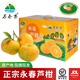 萬(wàn)春寨永春正宗蘆柑5斤/10斤禮盒裝新鮮現摘橘子柑桔 桔子當季水果大果 【精品大果】果徑80mm帶箱10斤裝