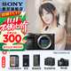 索尼（SONY）  Alpha 6700 APS-C半畫(huà)幅微單相機AI智能芯片 強悍對焦A6700/a6700L /6700m A6700拆機身【充+128G+肩帶+屏+D11】 官方標配(不含內存卡