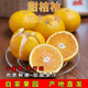 湖南懷化陽(yáng)光一號桔柚 柑橘黃金柑皮薄香甜化渣新鮮水果 大果-果徑約80-90mm 凈重4.5斤