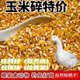 東北干玉米粒喂雞100斤豬鴨鵝鳥(niǎo)家禽飼料鴿子糧打窩玉米粒批發(fā) 【國儲純干糧】 50斤