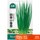 北蔬四季小蔥小香蔥種子種苗家庭種植蔬菜種籽 四季小香蔥種子2000粒