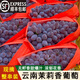 鑫果滋【順豐】云南茉莉香葡萄 玫瑰香小提子郁金香葡萄新鮮水果 2斤  順豐