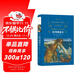 格列佛游記（新版）/經(jīng)典譯林（九年級下冊推薦閱讀）