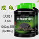 德瑞水族鱷龜飼料龜糧北美小鱷龜幼龜爆刺龜糧食純大鱷龜雜佛鱷龜糧食物 成龜大粒1200g x2瓶