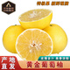 傾睦黃金葡萄柚當季新鮮水果爆汁多肉黃金柚子黃肉蜜柚榨汁的酸甜柚子 3斤中果3-4個(gè)【單果250-450g】