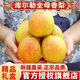迎畔新疆庫爾勒香梨全母梨 脆甜小香梨新鮮水果整箱禮盒裝 5斤精品混裝梨 單果80-100g