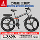 鳳凰（Phoenix）26寸新國標折疊電動(dòng)車(chē)48V鋰電池電動(dòng)自行車(chē)成人男女助力車(chē)電瓶車(chē) 5檔力矩傳感/7速一體輪/20AH電動(dòng)續航60公里