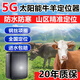 幀匠5G牛羊定位器gps追跟器山區放牧專(zhuān)用北斗衛星訂位動(dòng)物防丟定位器j 5G太陽(yáng)能旗艦版【10000毫安+店長(cháng)推薦+終流量】