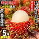 【順豐速運】海南紅毛丹新鮮水果當季熱帶毛荔枝毛丹果現摘5包郵 帶箱4斤裝