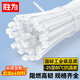 勝為自鎖式尼龍塑料扎帶大號4.8*450mm 100根/袋桌面網(wǎng)線(xiàn)電話(huà)線(xiàn)收納帶卡扣理線(xiàn)捆扎白色束線(xiàn)帶CZD6451H