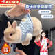 曇蓓漫小兔子衣服秋冬款可愛(ài)保暖小奶狗奶貓保暖加厚超加絨侏儒兔小背心 蜜蜂【藍色】XXS
