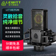 萊維特（LEWITT） LCT440PURE電容麥克風(fēng)電腦K歌專(zhuān)業(yè)錄音直播話(huà)筒主播設備聲卡套裝全套 麥克風(fēng)單品【需帶48v供電聲卡】
