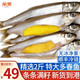朵芙滿籽多春魚1000g  條條滿籽新鮮海捕燒烤食材海魚海鮮水產(chǎn) 條條滿籽【2斤裝】