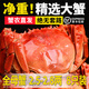 【活蟹】絕對鮮森大閘蟹鮮活現貨禮盒湖蟹全母蟹特大螃蟹生鮮送禮 全母大閘蟹2.5-2.8兩8只*精選