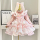 女童愛(ài)莎公主連衣裙冬季金絲絨加厚保暖洛麗塔兒童可愛(ài)毛球蓬蓬裙 毛球愛(ài)莎粉色加絨 偏小一碼 140