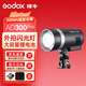 神牛（Godox）Godox神牛Ad300PRO外拍閃光燈300W戶(hù)外專(zhuān)業(yè)人像模特婚紗攝影燈TTL高速同步鋰電便攜拍照專(zhuān)用外拍燈 AD300pro外拍燈【官方標配】 索尼版