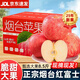 秦悅仙果鮮蘋(píng)果水果山東煙臺紅富士蘋(píng)果新鮮水果禮盒單果85mm+節日送禮包郵 正宗煙臺紅富士丨大果8.5斤單果200g+