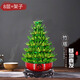 京云夢(mèng)竹塔富貴竹盆栽水培節節高轉運寶塔客廳8層+陶瓷盆架子源頭直發(fā)