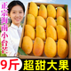 黃六爺海南小臺農芒果9斤新鮮水果當季時(shí)令熱帶水果整箱紅金玉青煌芒果 9斤 品質(zhì)-特大果【店鋪暢銷(xiāo)】