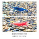 春瑞觀(guān)賞蝦活體寵物極火蝦櫻花蝦黃金米蝦香吉士黑殼除藻蝦淡水 極火10藍寶石10