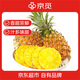 京覓海南金鉆鳳梨凈重4.5斤裝 單果1000g起 大果更好吃 源頭直發(fā)包郵