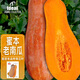 IDEAL理想農(nóng)業(yè) 蜜本老南瓜種子高產(chǎn)抗病雜交老品種南瓜籽蔬菜種子大全