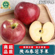 南步陜西粉紅秦冠蘋(píng)果 粉面甜紅香蕉寶寶輔食老品種刮泥萍果老樹(shù)水果 9斤 精選大果【單果75-80mm】