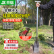 京鍇挖樹(shù)鏟洛陽(yáng)鏟鐵鍬錳鋼挖坑神器挖溝洞起苗樹(shù)根挖土專(zhuān)用40-12T柄