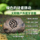 品竹太陽(yáng)能藍牙音箱花園仿真石頭戶(hù)外音響 室外防水無(wú)線(xiàn)可移動(dòng)音響 民宿庭院別墅創(chuàng  )意草坪音箱插卡遙控 鵝卵石單臺插卡版