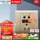正泰（CHNT）漏電保護插座 大功率電器家用五孔插座86型暗裝開(kāi)關(guān)插座面板 五孔10A漏保插座 金
