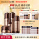 多娜嫻（danahan）人參籽抗皺緊致護膚品套裝韓國進(jìn)口化妝品彈潤補水保濕淡紋送老婆 【5件套】肌底+水+精華+乳+面霜