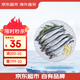 京東超市 海外直采挪威多春魚(yú)2斤(4*250g) 40-50條 公母混合 燒烤魚(yú)籽海鮮
