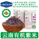 山姆東東農場(chǎng)【有機】紫米 云南老品種紫糯米 當季新米胚芽米墨江五谷雜糧粗糧 【有機紫米體驗裝】500g/盒*2盒