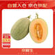 京鮮生 海南哈密瓜/西州蜜 1粒裝 單果2.5斤起 生鮮水果