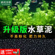 瘋狂水草魚(yú)缸造景水草泥和種子底砂裝飾生態(tài)套餐水草用品 一代水草泥2斤+小對葉種子