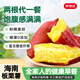 京地達海南板栗薯紅薯 糖心番薯 凈重4.5斤（3-8兩/個(gè)）源頭直發(fā)包郵