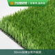 CCGrass共創(chuàng  )人造仿真草坪30mm地毯假草皮幼兒園健身房商用足球場(chǎng)公園別墅