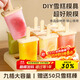 拜杰冰塊模具自制雪糕模具食品級冰淇淋冰棒冰棍冰格冰糕冰激凌模具