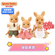 森貝兒家族動(dòng)物家族系列玩偶 過(guò)家家玩具 女孩玩具 兒童生日禮物 袋鼠家族