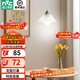 雷士（NVC） 歐美式客廳餐廳吊燈現代簡(jiǎn)約創(chuàng  )意極簡(jiǎn)餐桌床頭小吊燈具燈飾 鈴蘭 單頭田園風(fēng)吊燈【帶光源】