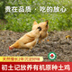 初土記  有機原種土雞950g 林下慢長(cháng)720天皖南老母雞中秋禮盒品質(zhì)月子雞