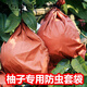 柚子套袋專用袋三紅蜜柚紅肉水果防蟲袋雙層三層加厚早熟防水防鳥沐蕓 單層30*35刀把（推薦沙田柚等）100個(gè)