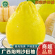 南步廣西陽(yáng)朔沙田柚 興坪老樹(shù)桂林特產(chǎn)冰糖柚子非梅州容縣柚新鮮水果 10斤 老樹(shù)果【單果約2斤】