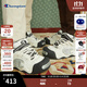 Champion冠軍24秋冬新款板鞋女AutoSkate V1膨膨面包鞋男情侶 黑白（女款） 39