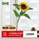 宜家（IKEA）SMYCKA思米加人造花太陽(yáng)花毛茛玫瑰花裝飾花多種可選 向日葵黃色51cm
