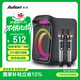 愛(ài)浪（Avlight）D60無(wú)線(xiàn)藍牙音箱 戶(hù)外K歌低音炮 廣場(chǎng)舞音響 便攜式手提音響帶話(huà)筒樂(lè )器彈唱收音機語(yǔ)音播報器