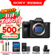 索尼（SONY）ILCE-7M4全畫(huà)幅微單 數碼相機 五軸防抖 4K 60p視頻錄制a7m4 A7M4 a7M4【D11+256G+電池+座充+清+腕帶】 官方標配