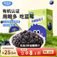 妙伯樂(lè )有機藍莓干100g寶寶無(wú)添加糖油兒童零食早餐小包裝水果果肉干